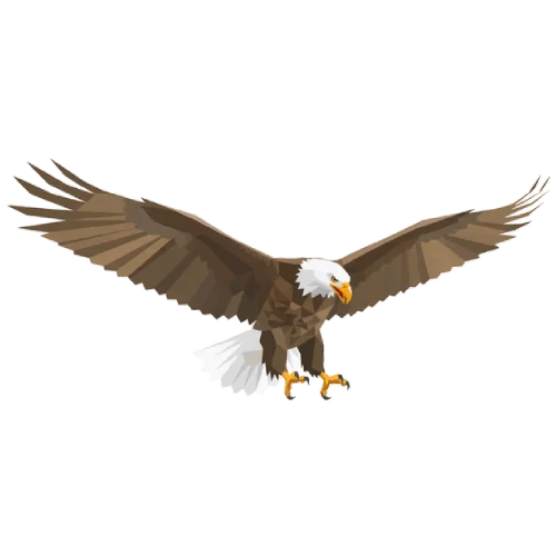 Bielikchat logo - European alternative